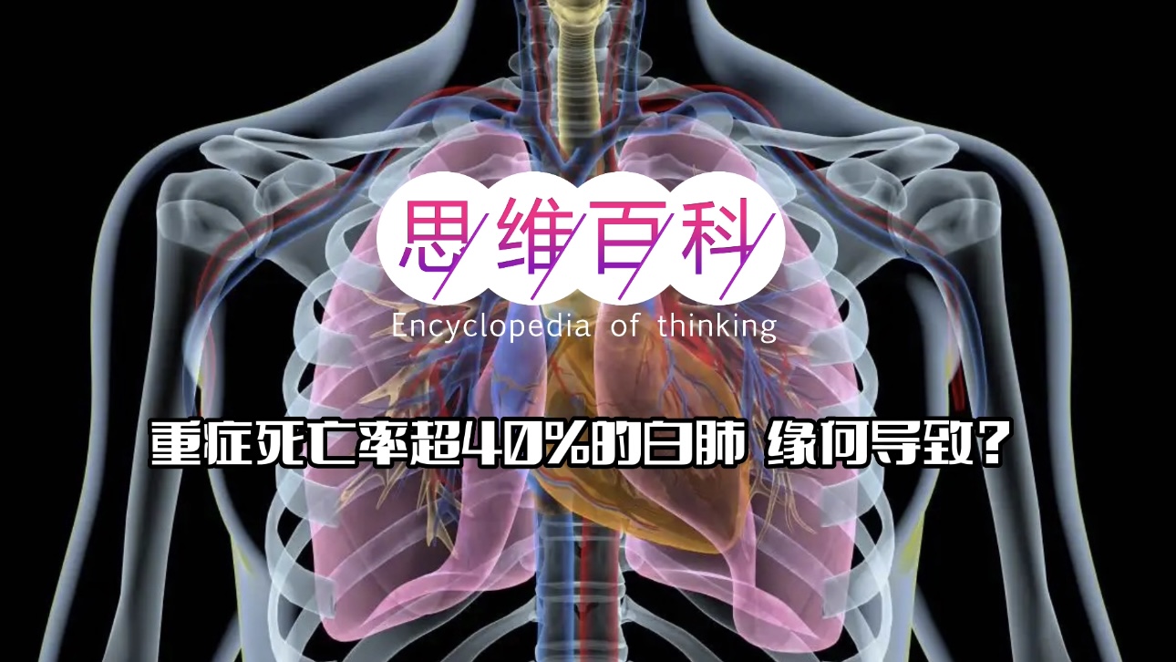 重症死亡率超40%的白肺，缘何导致？｜思维百科.jpg